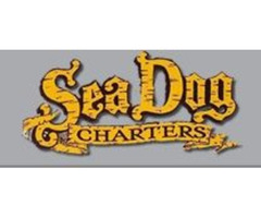  Sea Dog Private & Custom Fishing Charters | free-classifieds-usa.com - 1