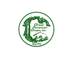 Astro Turf Services in Atlanta, GA - Great American Green | free-classifieds-usa.com - 1