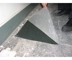 Pro Tect Carpet Protection | free-classifieds-usa.com - 2