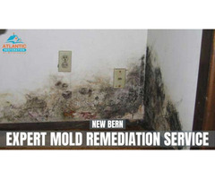 New Bern Expert Mold Remediation Service | free-classifieds-usa.com - 1