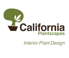 Potted Plants Irvine - California Plantscapes | free-classifieds-usa.com - 1