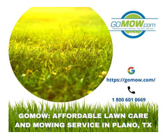 Gomow: Affordable Lawn Care and Mowing Service in Plano, TX | free-classifieds-usa.com - 1