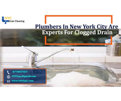 Plumbers in New York City Are Experts for Clogged Drain | free-classifieds-usa.com - 1