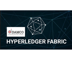 How Hyperledger Fabric Imparts Flexible Application Extension | free-classifieds-usa.com - 1