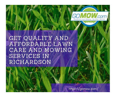 Get Quality and Affordable Lawn care and Mowing Services in Richardson | free-classifieds-usa.com - 1