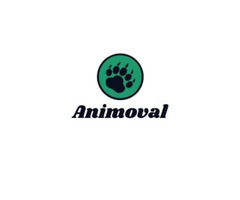 Animoval - Animal Removal Service in Valley Village CA | free-classifieds-usa.com - 1