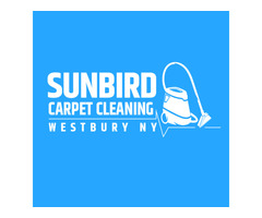 Sunbird Carpet Cleaning Westbury NY | free-classifieds-usa.com - 1