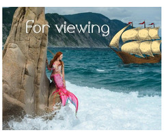 Mermaid Sitting on a Rock | free-classifieds-usa.com - 1