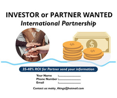 INVESTOR / PARTNER WANTED - (International Partnership) | free-classifieds-usa.com - 1