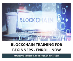 Blockchain Training for Beginners - Enroll Now | free-classifieds-usa.com - 1