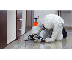 Affordable Residential Pest Control Services in Albany NY | free-classifieds-usa.com - 1