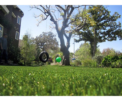 Enhance Your Home’s Look By Installing Artificial Grass | free-classifieds-usa.com - 1