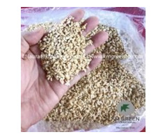 Vietnamese Cashew Nut Kernels BB | free-classifieds-usa.com - 1