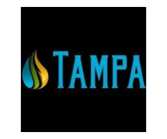 Water Mold Fire Restoration of Tampa | free-classifieds-usa.com - 1