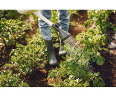 Get The Professional Gardening Nurseries In Sequim, WA | New Dungeness Nursery | | free-classifieds-usa.com - 1