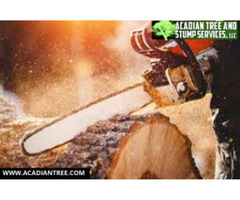 Tree Removal Pearl River | Acadian Tree Removal and Stump Service | free-classifieds-usa.com - 1