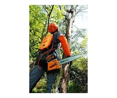 Tree Removal Pearl River | Acadian Tree Removal and Stump Service | free-classifieds-usa.com - 3
