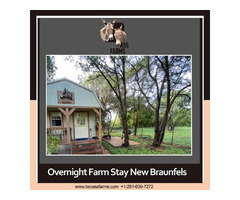 Overnight Farm Stay in New Braunfels | free-classifieds-usa.com - 1