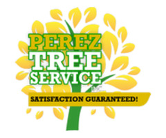 Perez Tree Service Inc | free-classifieds-usa.com - 1