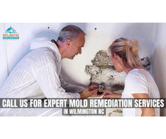 Call us for expert mold remediation services in Wilmington NC | free-classifieds-usa.com - 1