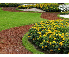 Top Spring Landscapers | BDH Landscaping | free-classifieds-usa.com - 4