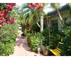 Family-friendly Resorts St Petersburg FL | free-classifieds-usa.com - 4