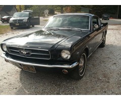 1965 Ford Mustang FASTBACK | free-classifieds-usa.com - 1