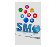 SMO services in New York | free-classifieds-usa.com - 1