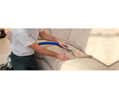 Avail Carpet Cleaning in Toledo | free-classifieds-usa.com - 3