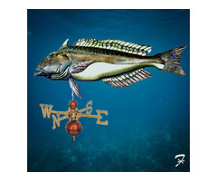 Buy Best Quality Tilefish Weathervane from Ferro Weathervanes | free-classifieds-usa.com - 1