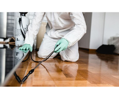 Pest Control Indoor And Outdoor in Lakewood Ranch. | free-classifieds-usa.com - 1