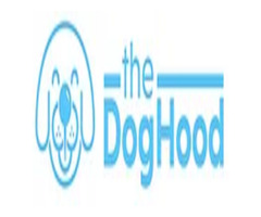 Best Dog Trainer Video | Dog Training Videos | Puppy Socialization – theDogHood | free-classifieds-usa.com - 1