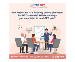 OPT job placement services will help you in landing an OPT job | free-classifieds-usa.com - 1