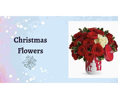 Christmas Flowers Delivery in USA | Flat 15% Off | free-classifieds-usa.com - 1