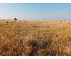 Cheap Vacant Land 40 Acres , Pueblo County , Colorado  | free-classifieds-usa.com - 4