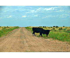 Cheap Vacant Land 35.77 Acres , Pueblo County , Colorado | free-classifieds-usa.com - 1