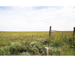 Cheap Vacant Land 35.77 Acres , Pueblo County , Colorado | free-classifieds-usa.com - 4