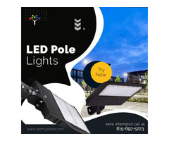 Order Now LED Pole Lights at Low Price | free-classifieds-usa.com - 1