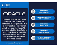 Oracle Database Development Company in LA, USA | free-classifieds-usa.com - 1
