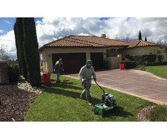 Are you Looking for a Landscape Maintenance Contractor in Sarasota? | free-classifieds-usa.com - 1
