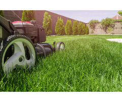 Are you Looking for a Landscape Maintenance Contractor in Sarasota? | free-classifieds-usa.com - 2