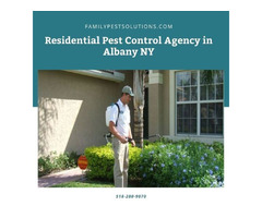 Residential Pest Control Agency in Albany NY | free-classifieds-usa.com - 1