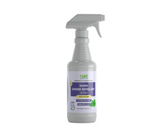 Best Natural Spider Spray for House | free-classifieds-usa.com - 1