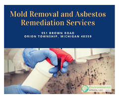 Mold Removal and Asbestos Remediation Services | free-classifieds-usa.com - 1