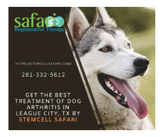 Get The Best Treatment of Dog Arthritis In League City, TX By Stemcell Safari | free-classifieds-usa.com - 1