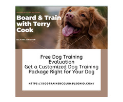Columbus Ohio Dog Training | free-classifieds-usa.com - 1