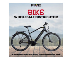 Become An E-Bike Distributor | free-classifieds-usa.com - 1