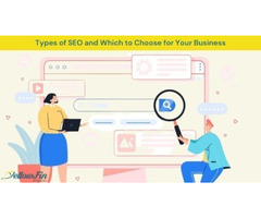 Types of SEO and Which to Choose for Your Business | free-classifieds-usa.com - 1
