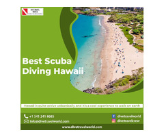 Best Scuba Diving Hawaii | free-classifieds-usa.com - 1