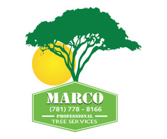 Marco Professional Tree Services | free-classifieds-usa.com - 1